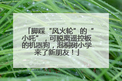 脚踩“风火轮”的“小吒”，可脱离遥控板的机器狗，泡桐树小学来了新朋友！